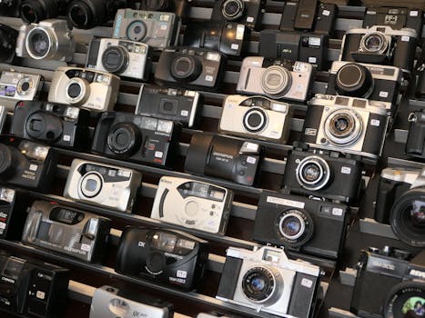 A variety of vintage film cameras are neatly arranged on display shelves.