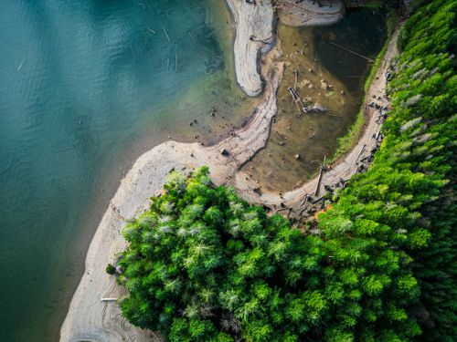 Free A breathtaking aerial capture showing a vibrant forest adjacent to a clear, tranquil lake shoreline. Stock Photo