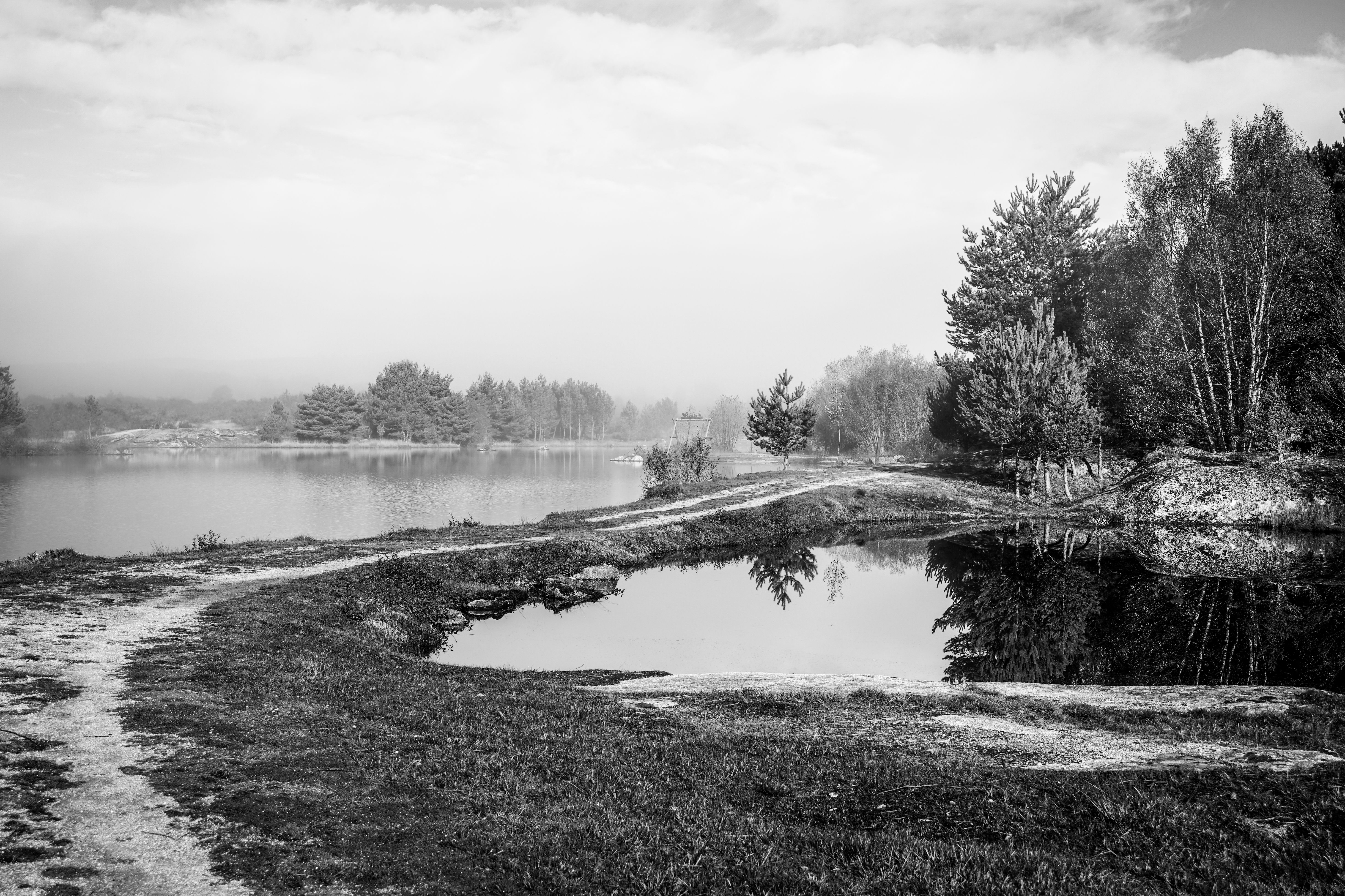 Serene Black and White Landscape with Reflection · Free Stock Photo
