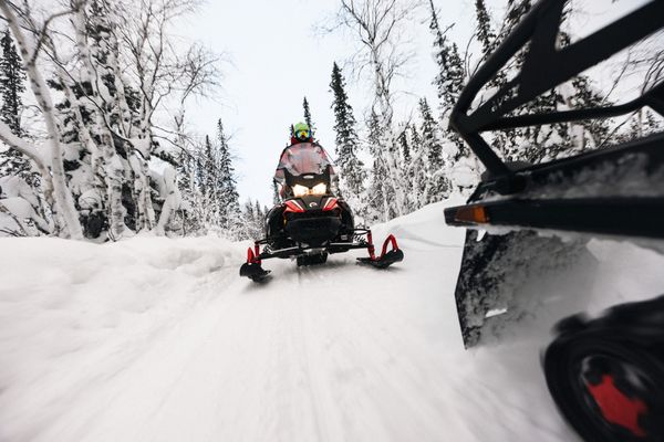 Snöskoter i vinterskog