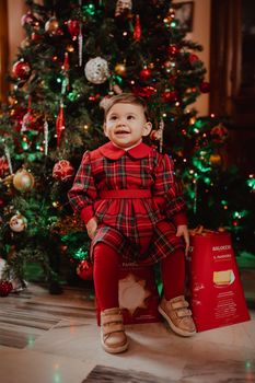 A cheerful toddler in a plaid dress sits by a decorated Christmas tree, exuding holiday joy.