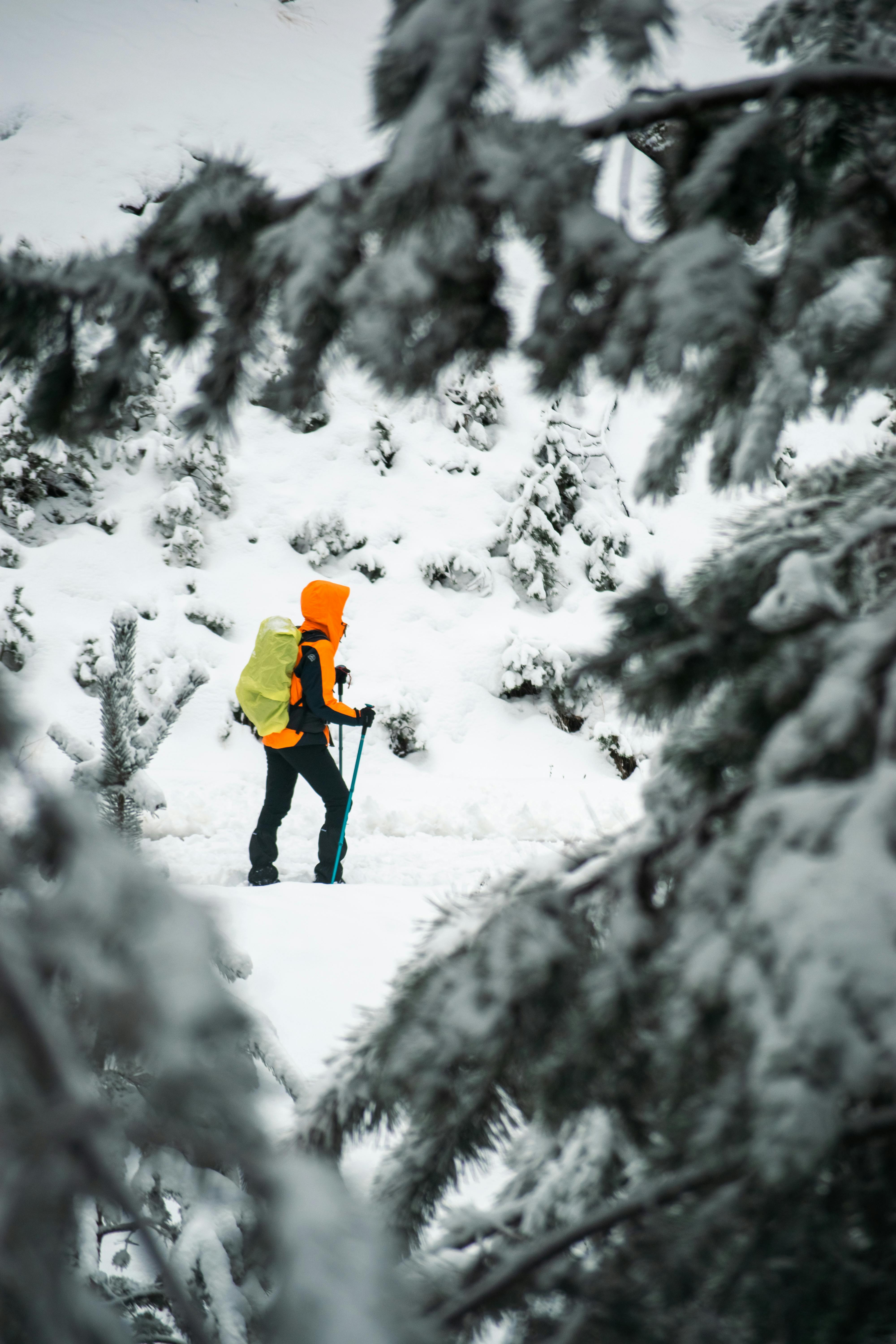 A hiker in bright gear treks through a snowy forest landscape, embodying winter adventure.