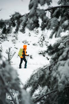 A hiker in bright gear treks through a snowy forest landscape, embodying winter adventure.