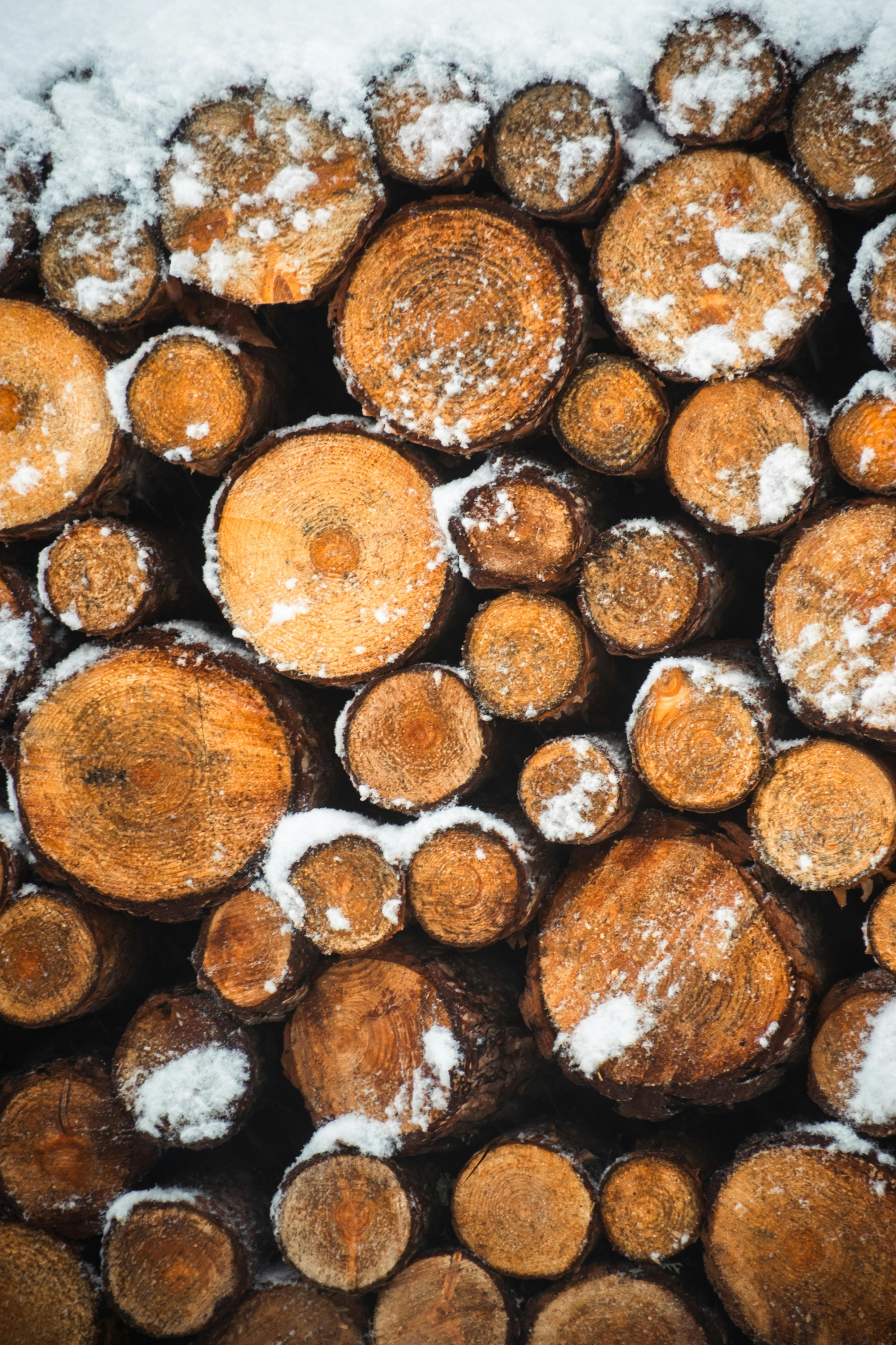 Close-up of stacked logs dusted with snow, showcasing a winter forest scene.