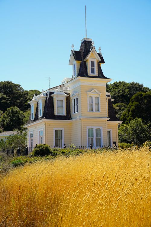 Free A picturesque yellow Victorian house set against golden fields and a clear blue sky, perfect for scenic summer imagery. Stock Photo