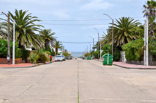 Free Scenic palm-lined street in Punta del Este, Uruguay leading to the ocean. Ideal for travel and tourism themes. Stock Photo