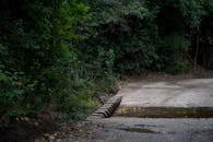 Forest Pathway Near Córdoba, Argentina