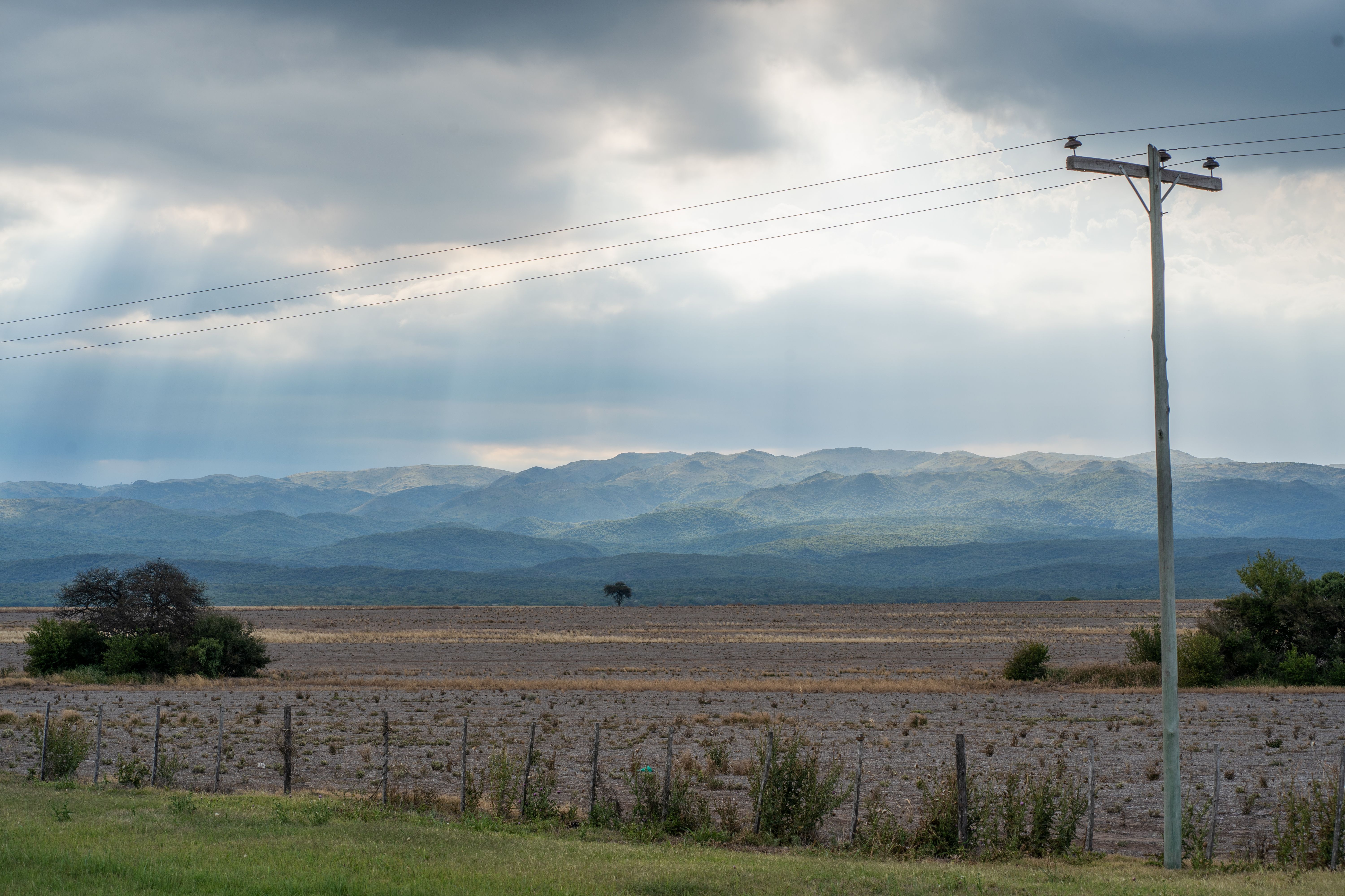 Campo chileno al atardecer