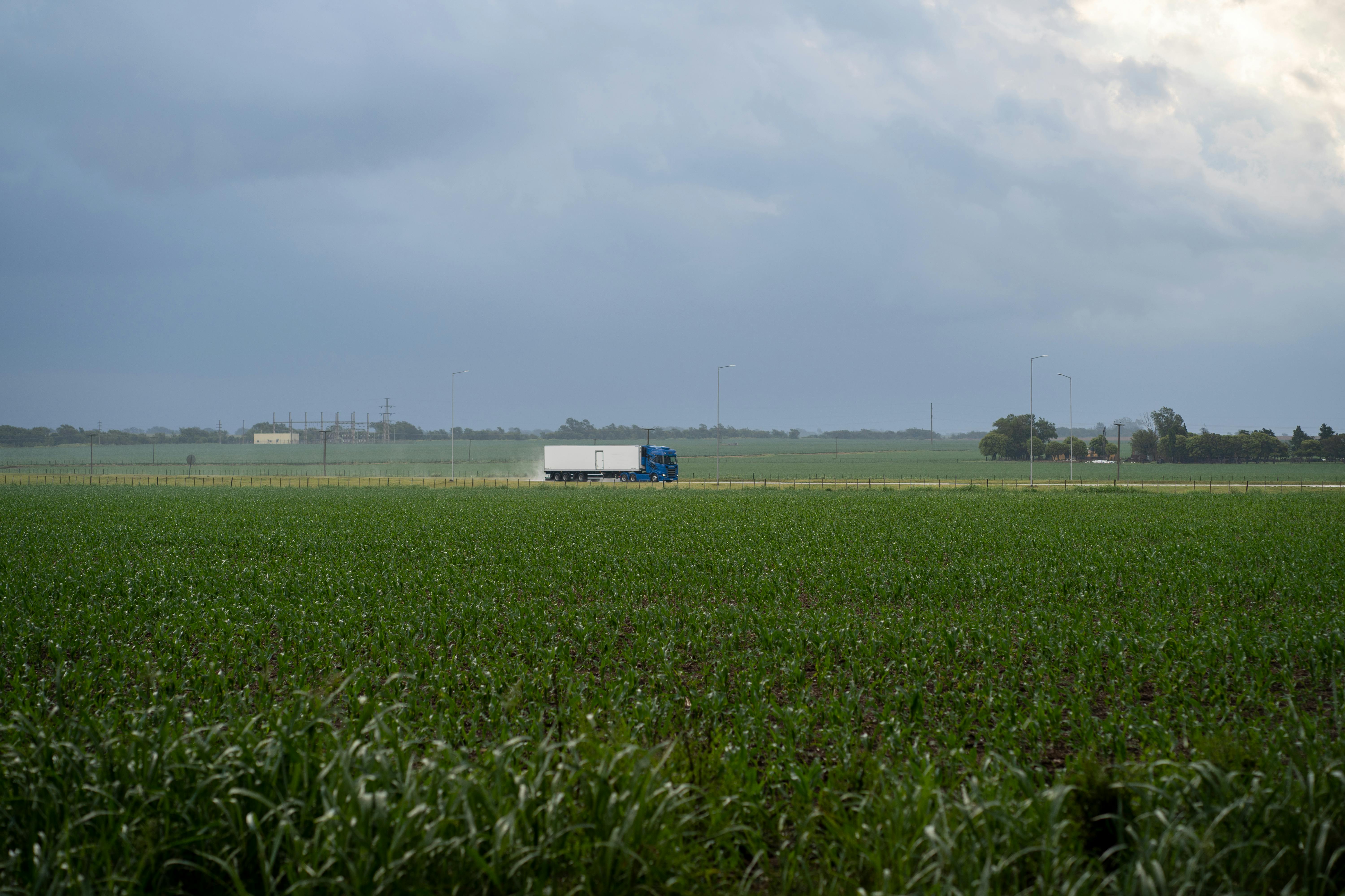 Ramaphosa responds in writing to Parliament’s Ad Hoc Committee questions