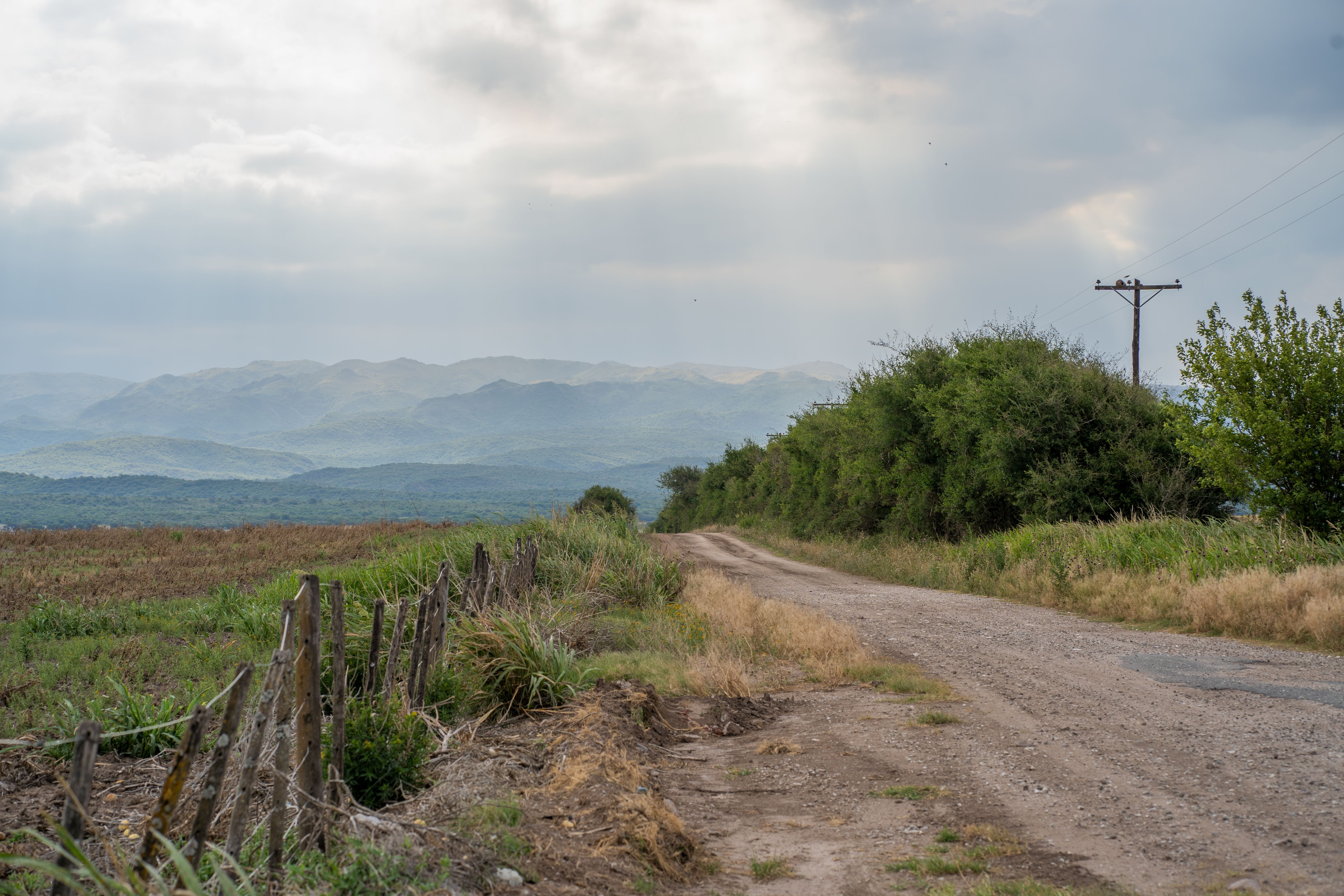 Camino de campo entre montanas