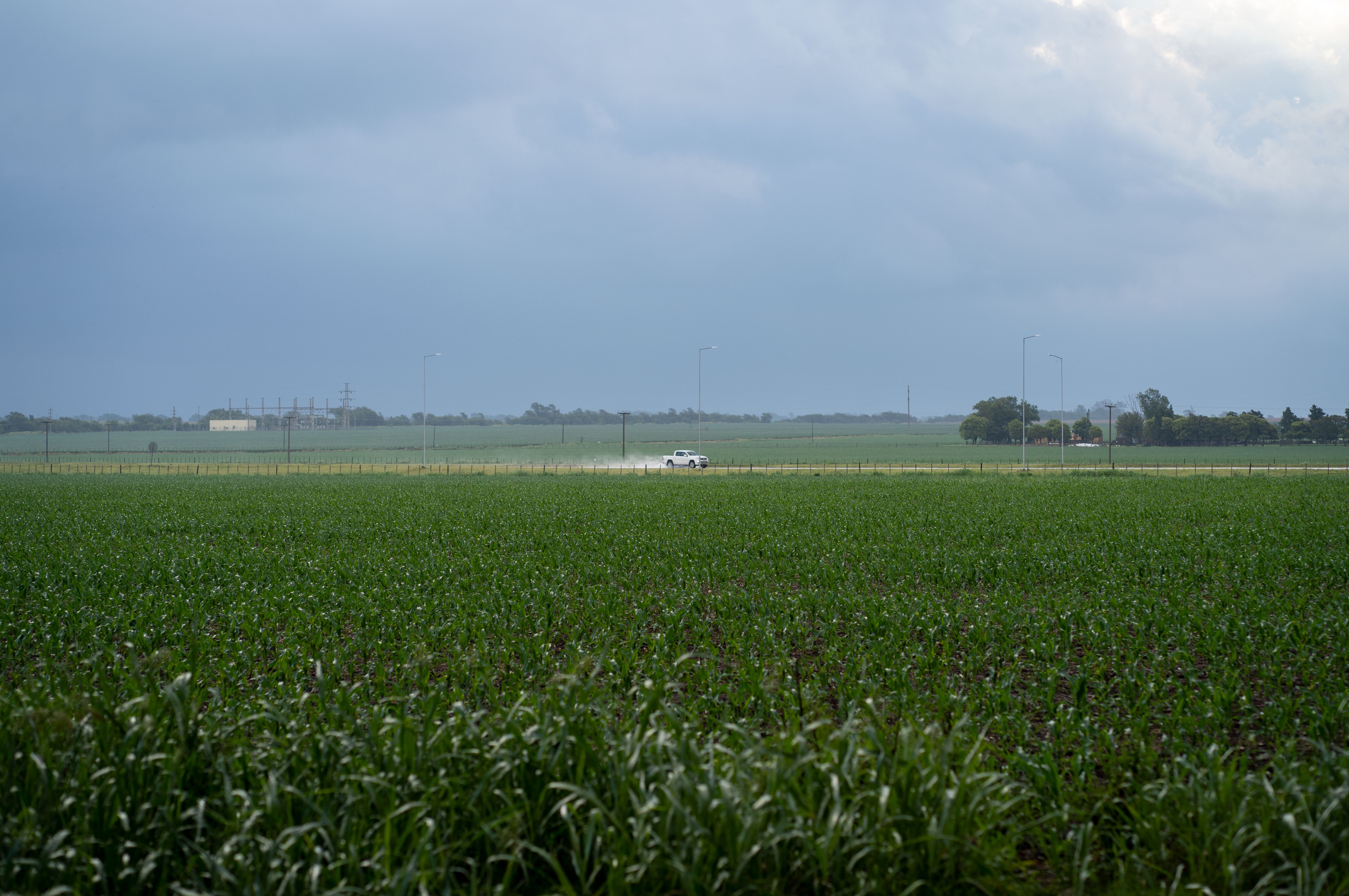 Rainy, Humid Field Photos, Download The BEST Free Rainy, Humid Field ...