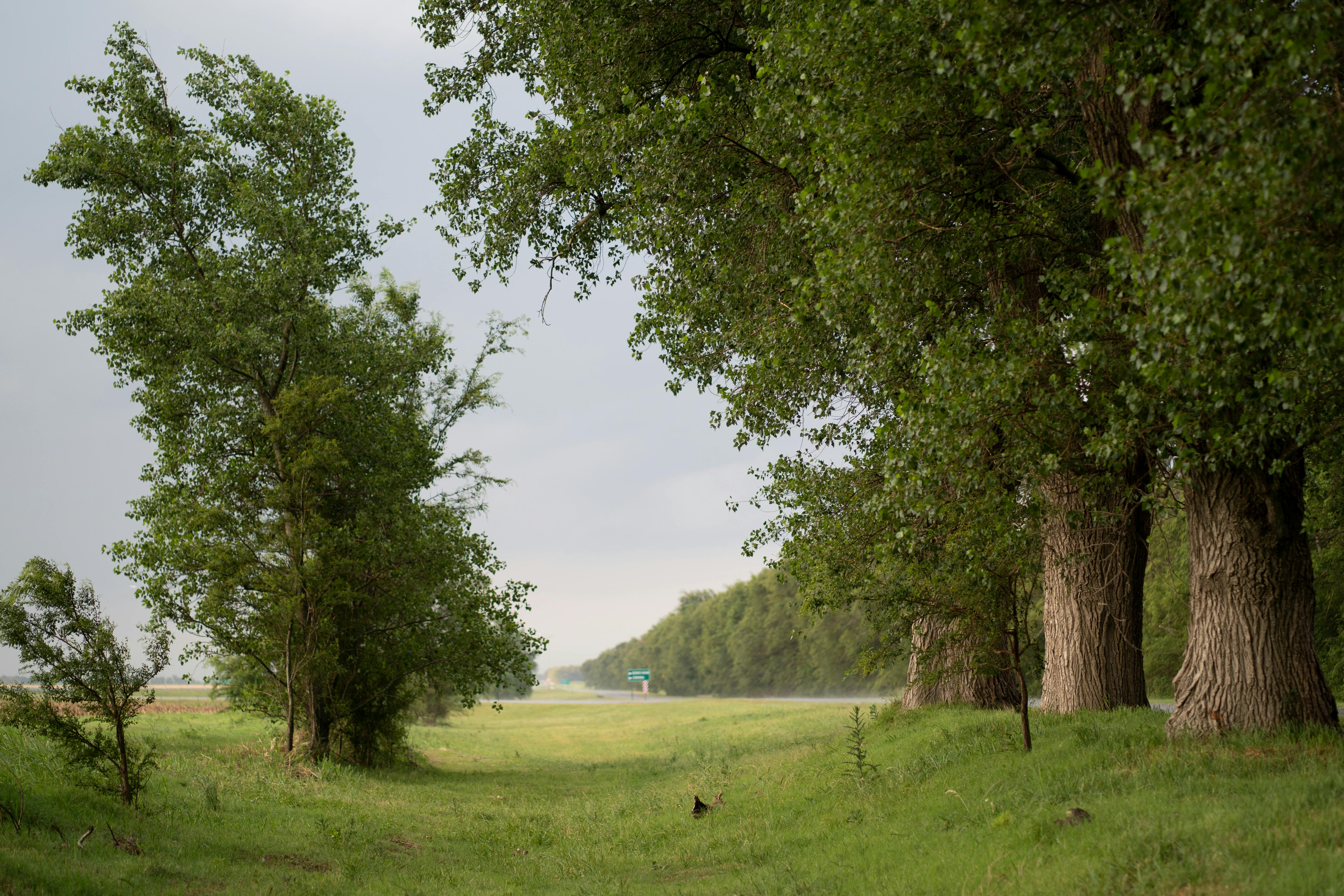 Free stock photo of atardecer, calm, evening Stock Photo