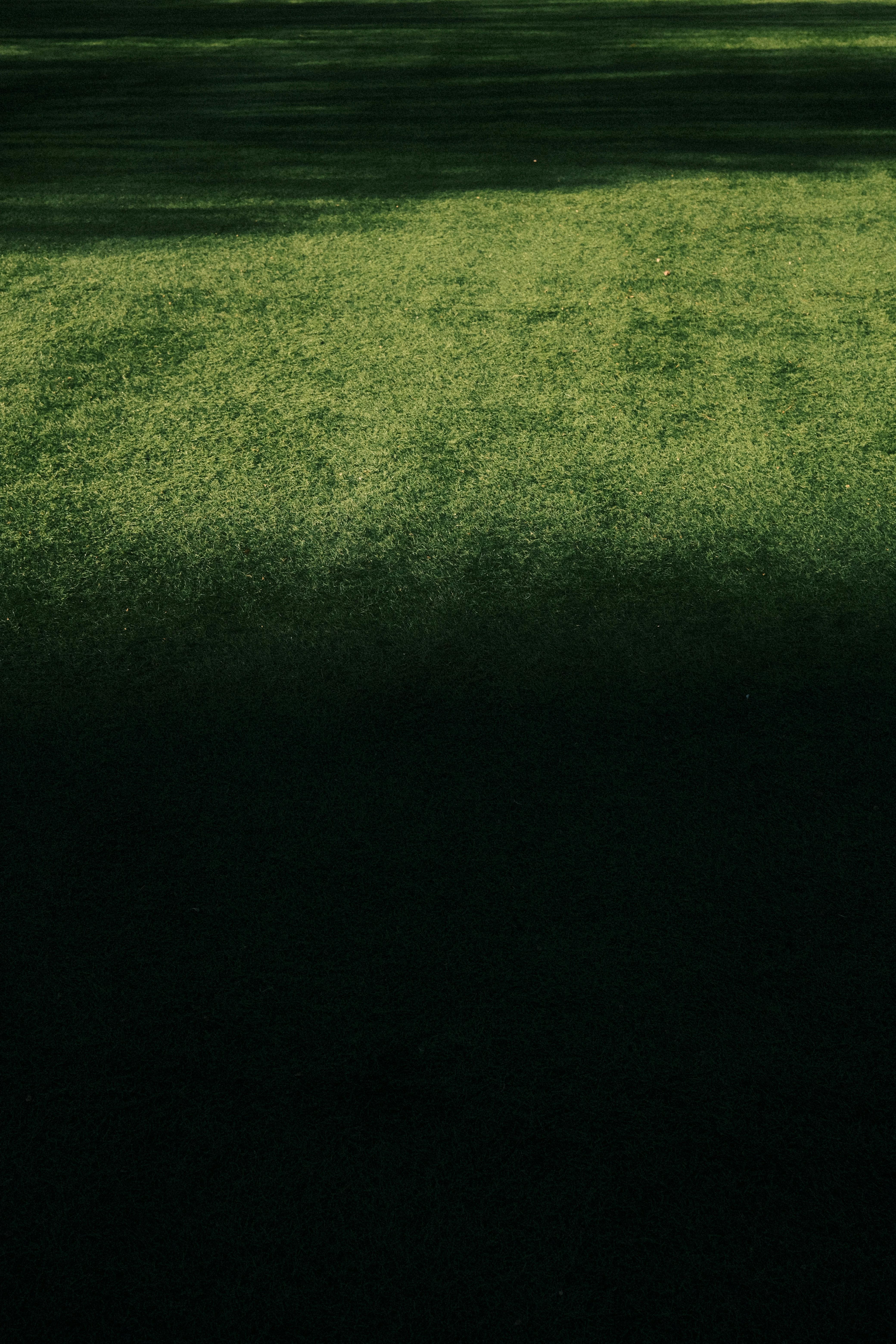 Kostenlos Kostenloses Stock Foto zu abstrakt, der grünen wiese, draußen Stock-Foto