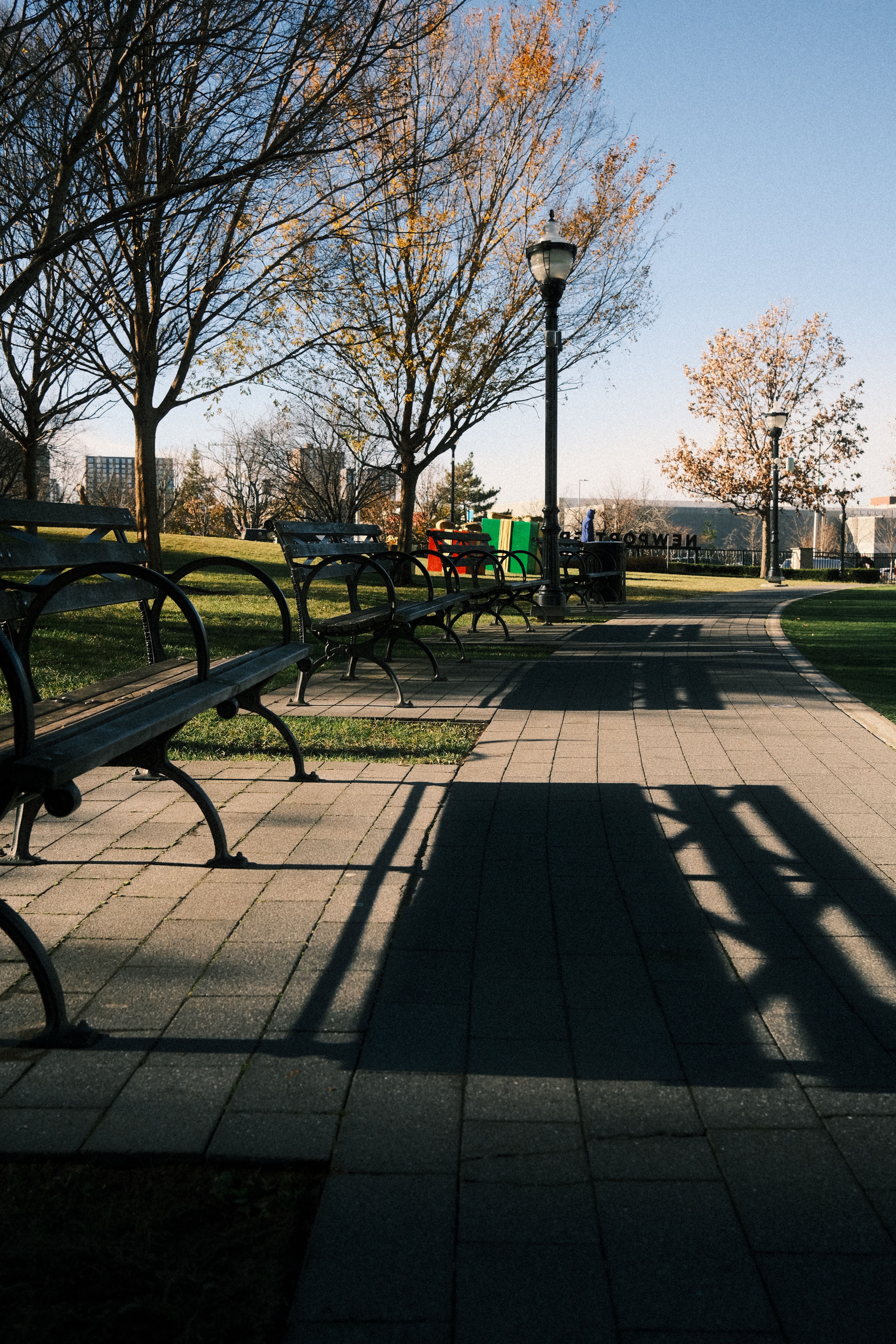 Serene Park Pathway with Benches in Autumn Light · Free Stock Photo