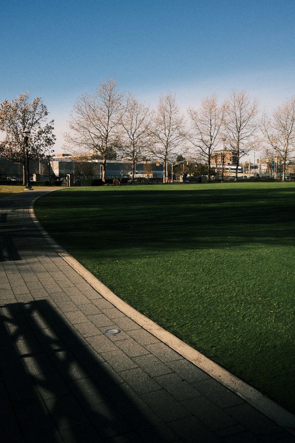 Portfolio Image 1