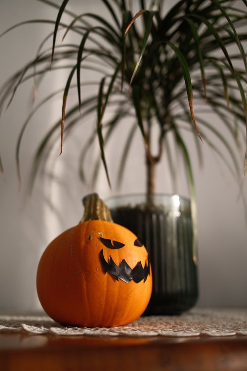 Free Close-up of a jack-o'-lantern next to a potted plant, ideal for Halloween themes. Stock Photo