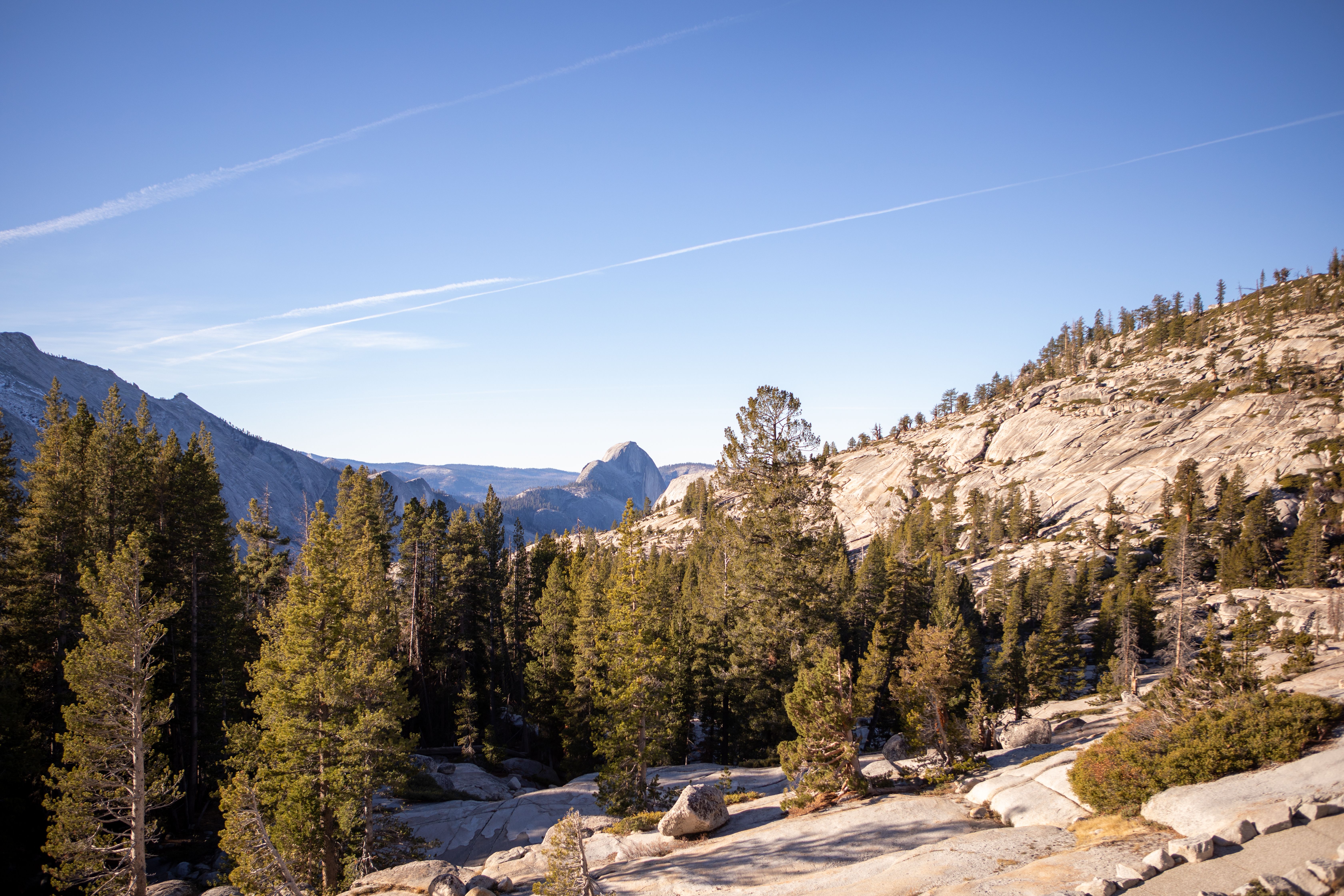 A family on an easy trail in the Sierra Nevada