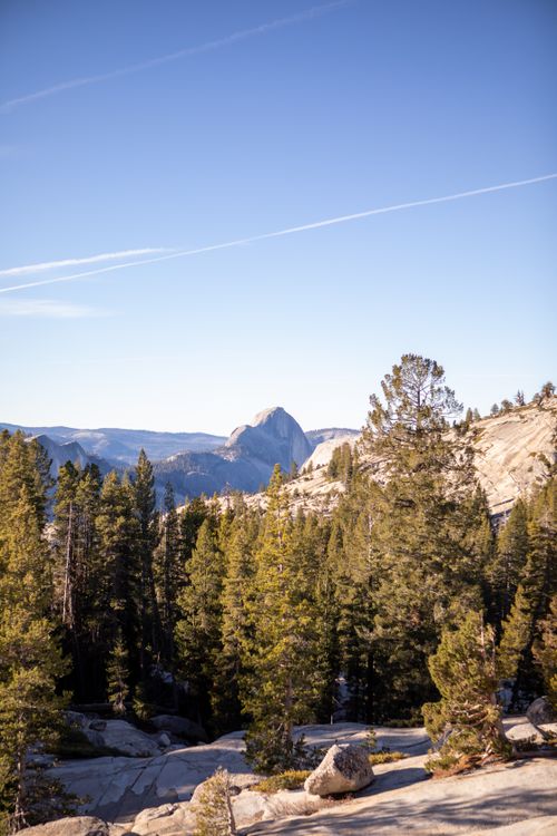 Free Beautiful scenery of Half Dome amidst lush pine trees under a clear blue sky in Yosemite National Park. Stock Photo