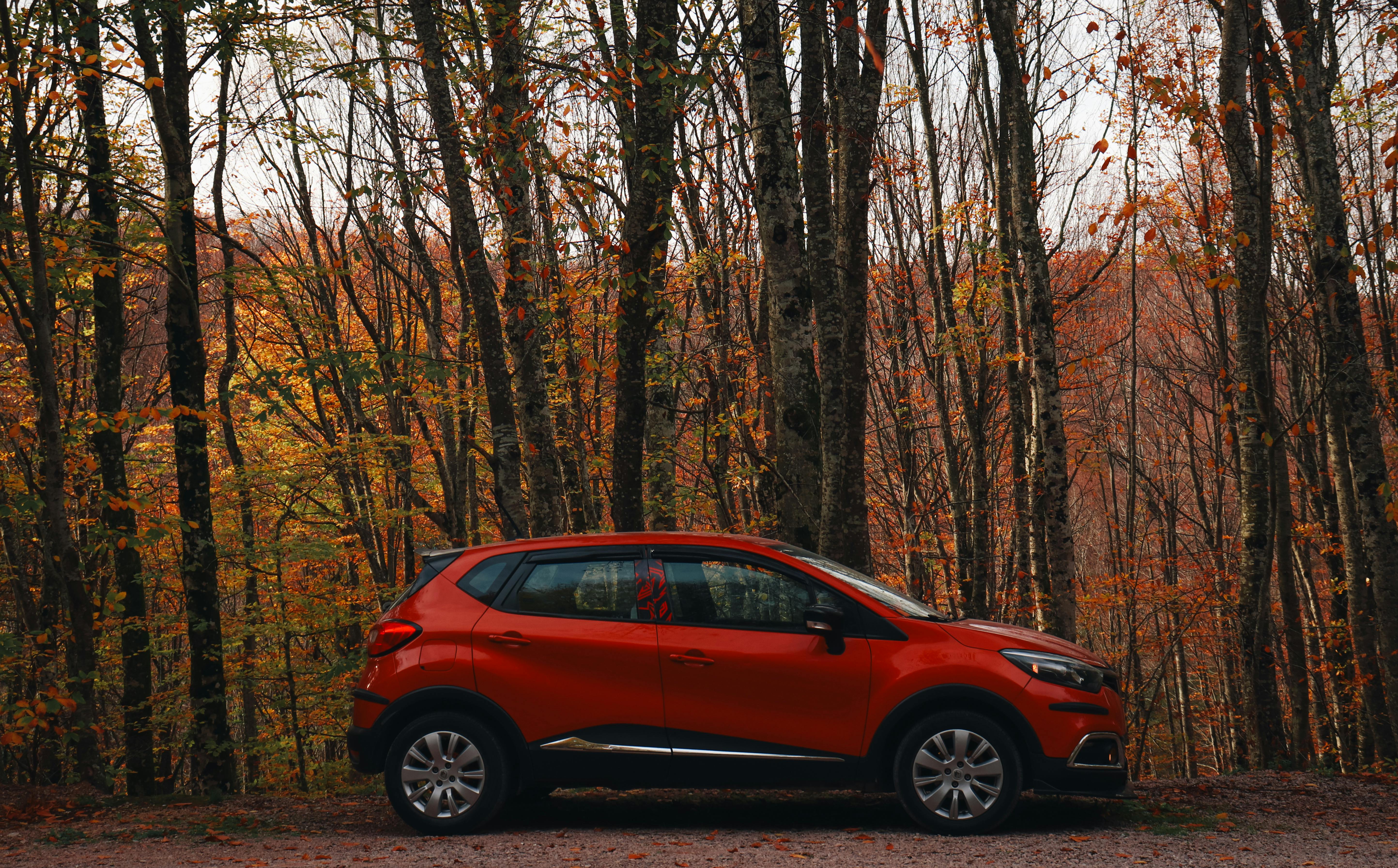 New car prices are near $50,000, but buying used isn’t always cheaper—here's why — Photo by Gülce Dayıoğlu on Pexels
