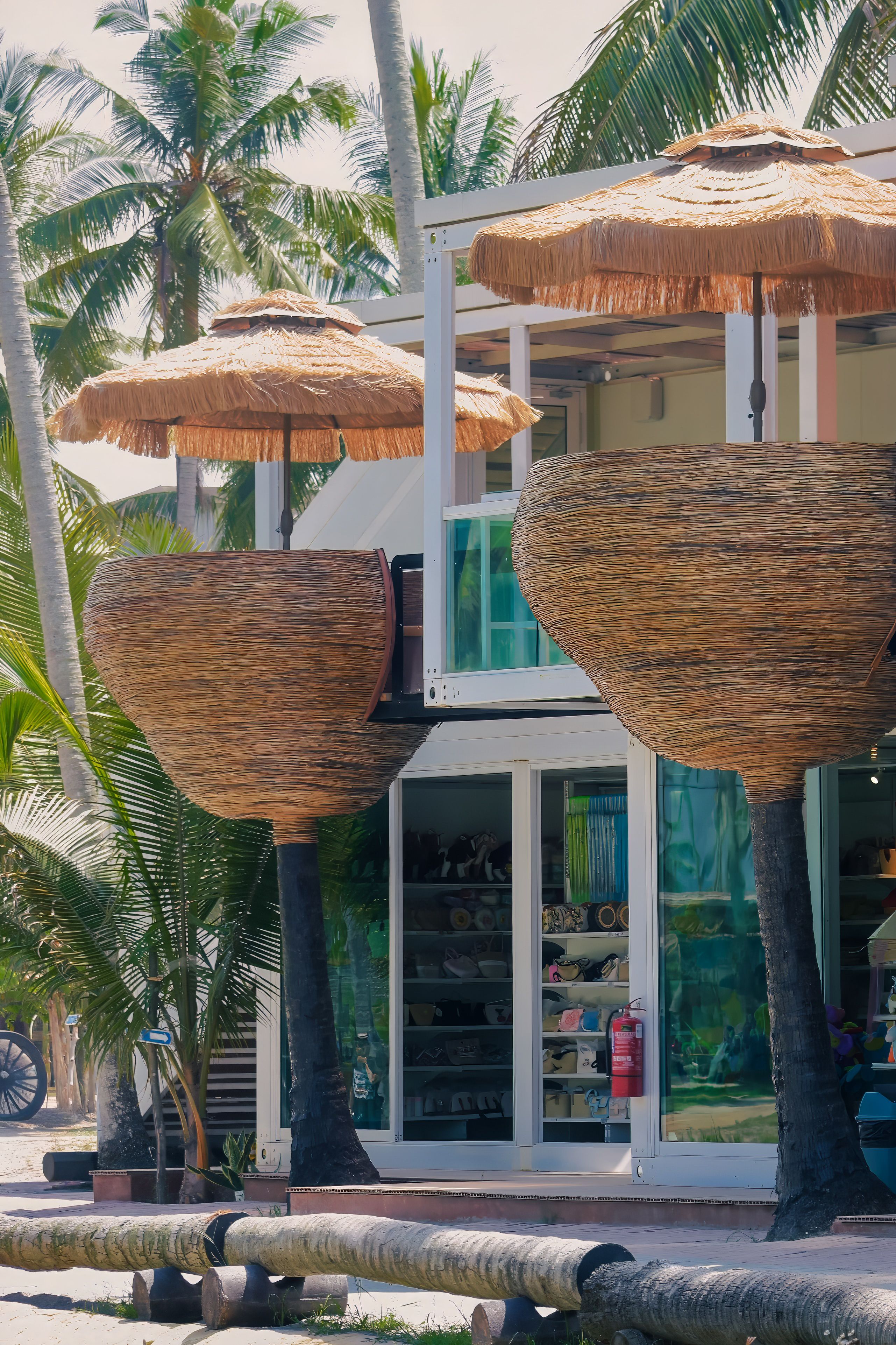 Modern Tropical Shopfront with Unique Design · Free Stock Photo