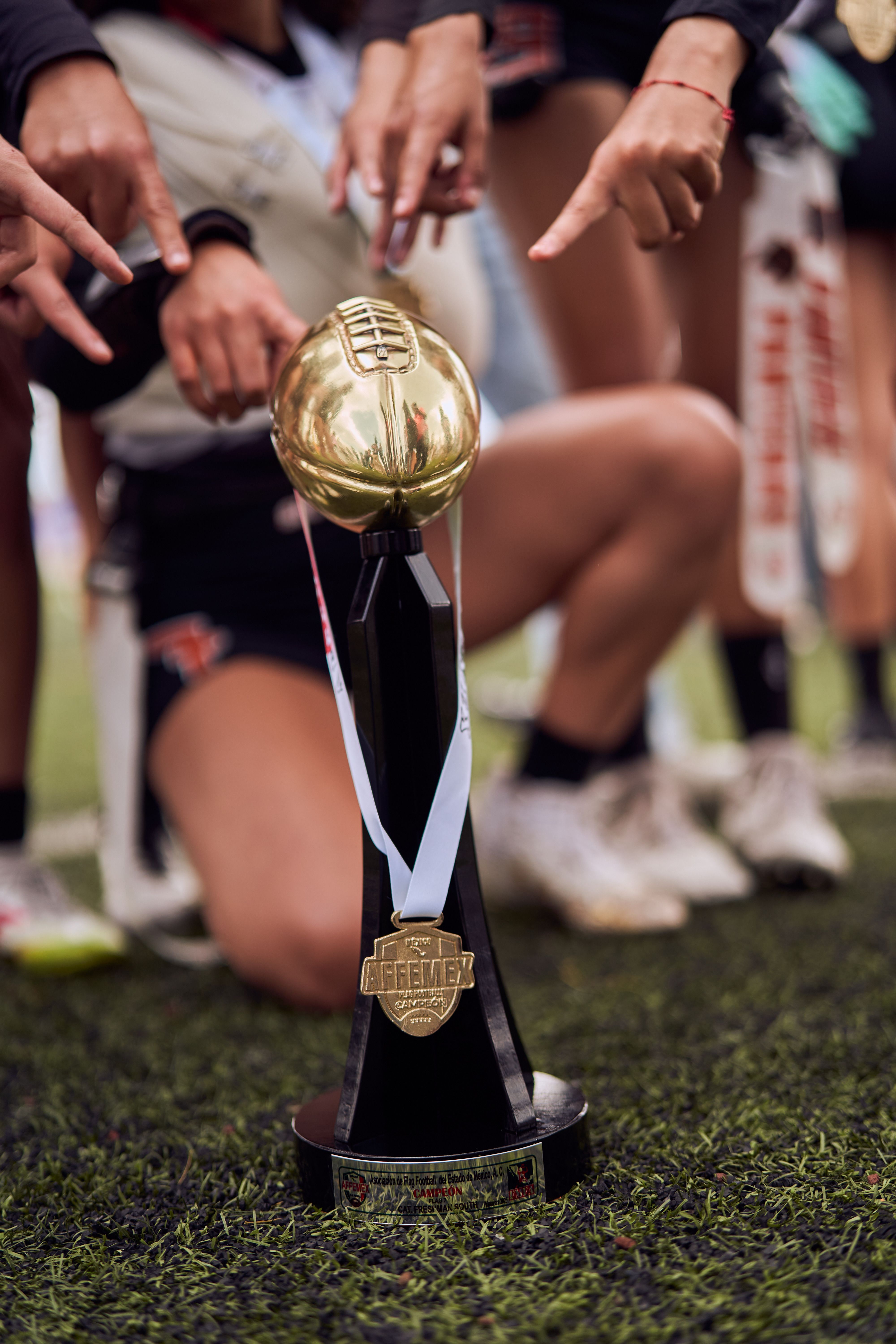 Gratis Et sejrshold fejrer med en guldpokal på banen. Lagerfoto