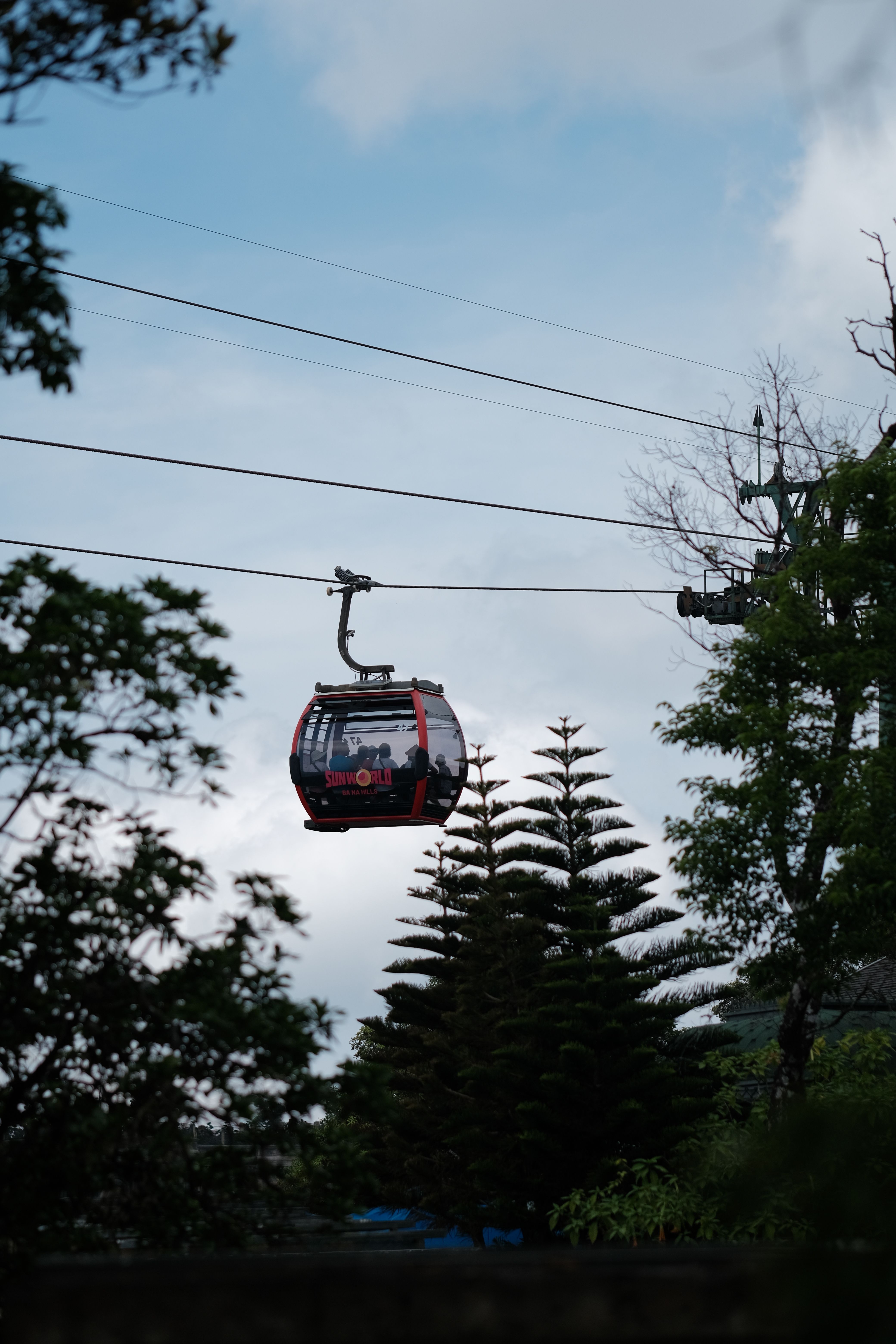 Cable Car Ride Amidst Verdant Trees · Free Stock Photo