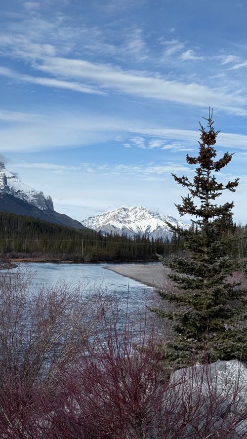 Free Snowy mountains and river with pine tree capturing a serene winter scene. Stock Photo