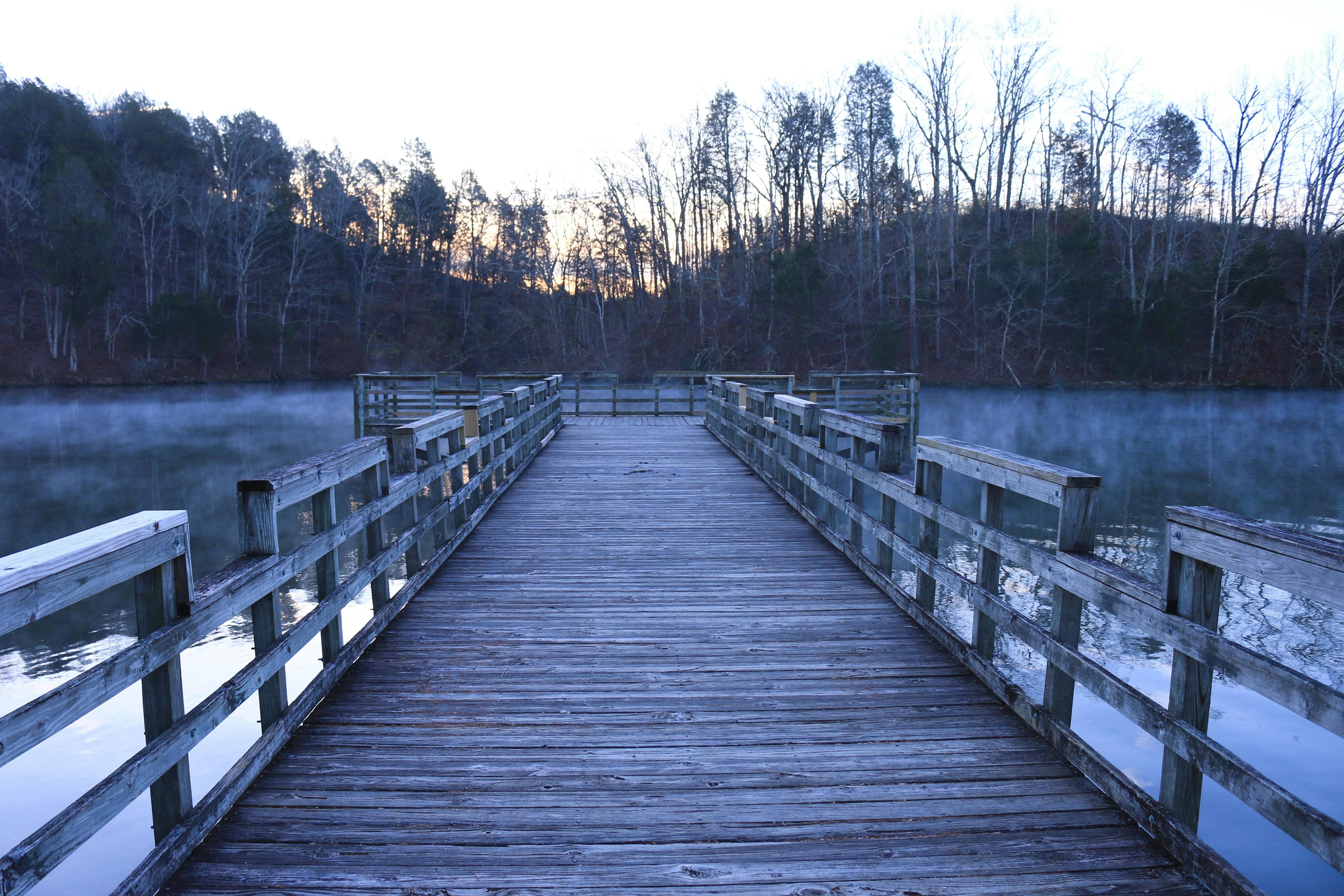 How outdoor recreation is fueling Alabama’s economic engine — Photo by Jonathan David on Pexels