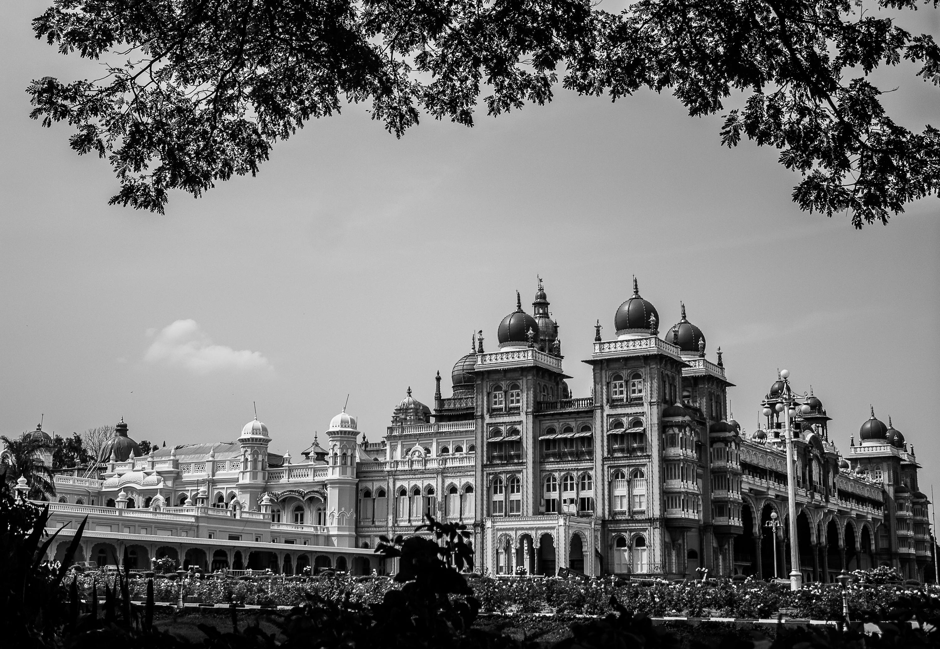 南應大服設系蕭妤珊勇奪2025亞洲技能競賽金牌 閃耀國際舞台