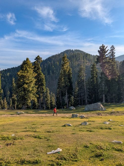 Free A hiker explores a serene mountain landscape surrounded by lush pine trees and a clear blue sky. Stock Photo