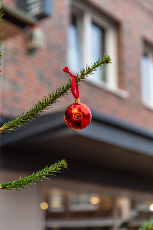 Free Red Christmas ornament hanging on evergreen branch outdoors, creating a festive holiday atmosphere. Stock Photo