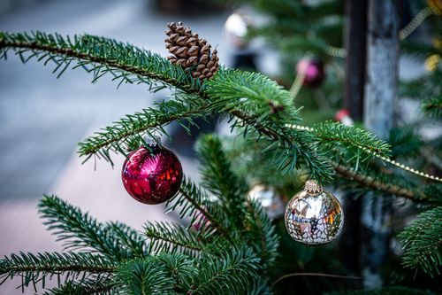 Free Close-up of a Christmas tree with ornaments and a pine cone, capturing the festive holiday spirit. Stock Photo