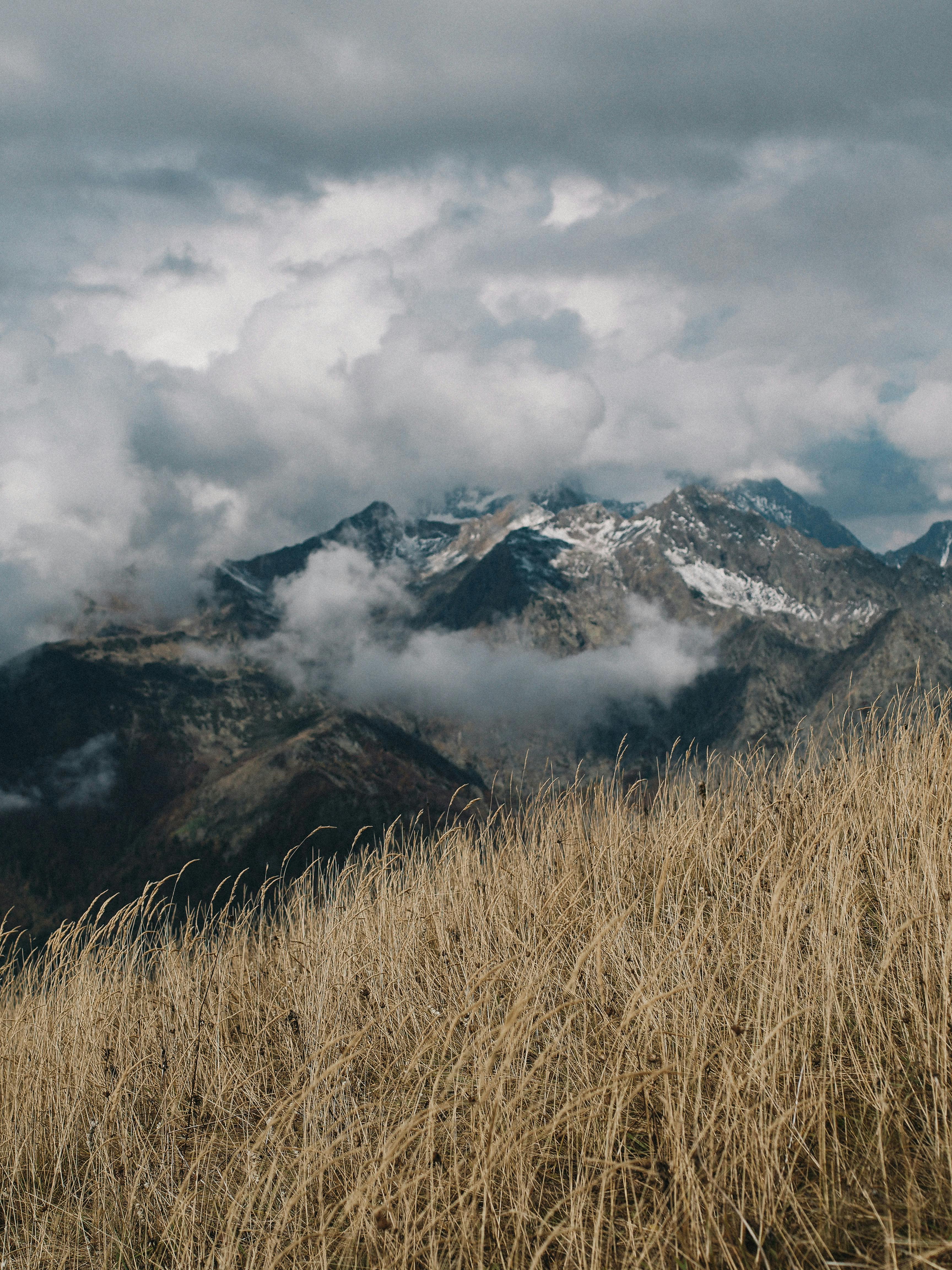 Bruegel Masterpiece Background