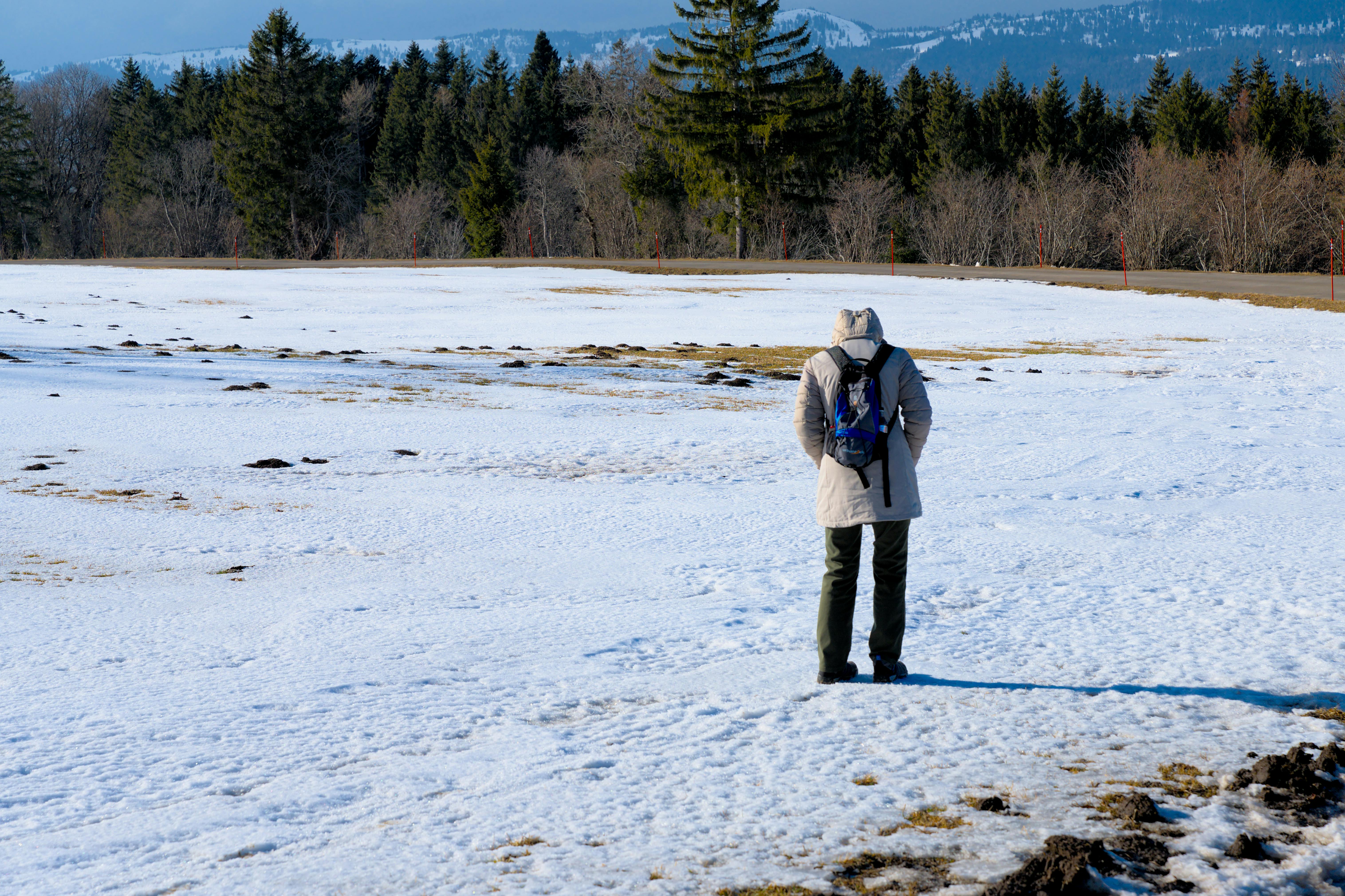 Kiralık Daire Kontratında Unutulmaması Gereken 6 Özel Şart: Bakırköy'de Sizi Koruyan Detaylar