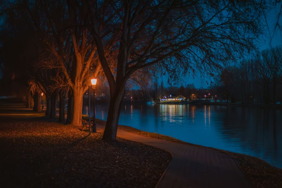 A serene night scene with illuminated park path along a calm river, featuring trees and distant lights.