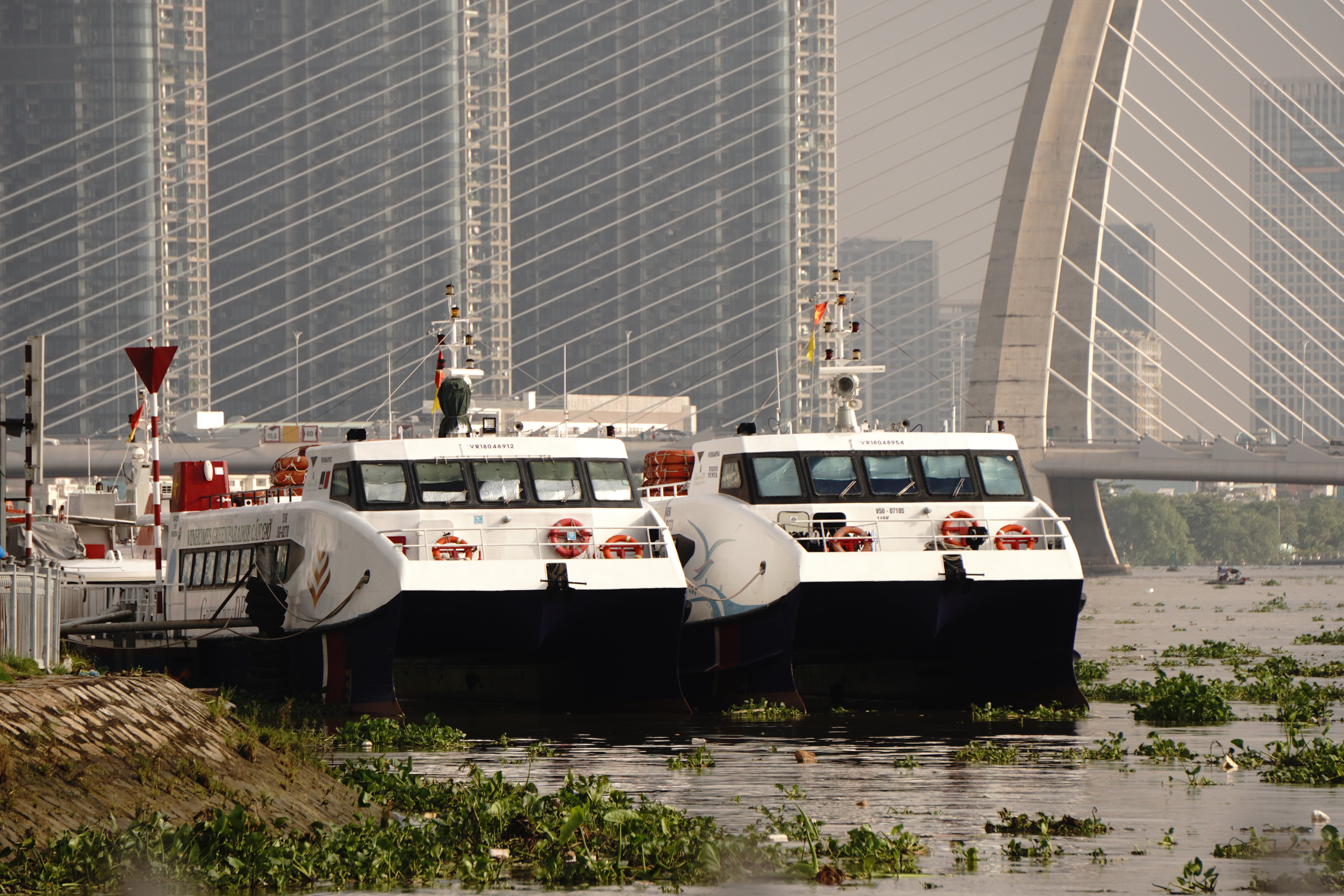 general travels majestic — Photo by Tuan Vy on Pexels