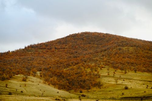 Free A scenic view of a hillside in fall with brown foliage and cloudy sky. Stock Photo