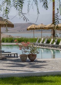 Tranquil poolside setting with umbrellas and potted plants under a clear sky.
