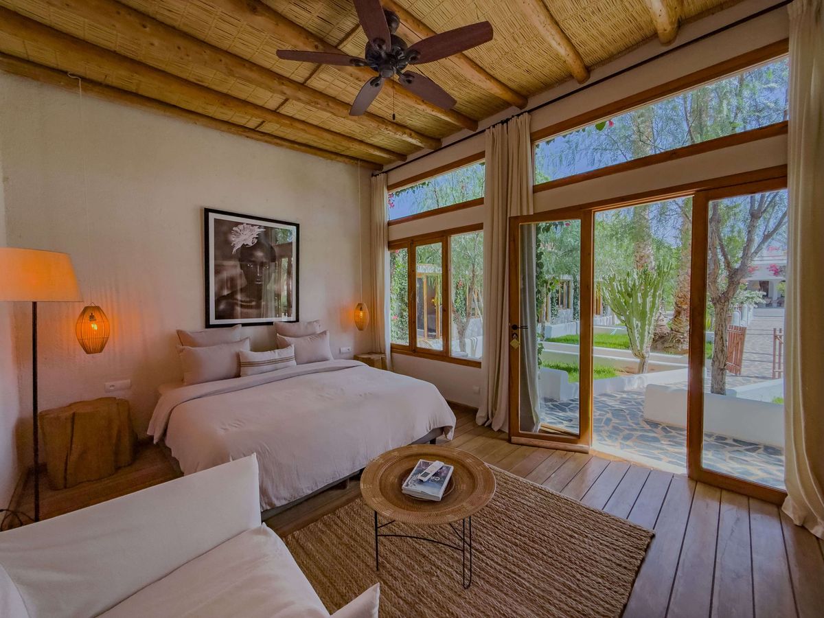 Suite with a wooden ceiling and windows onto the garden