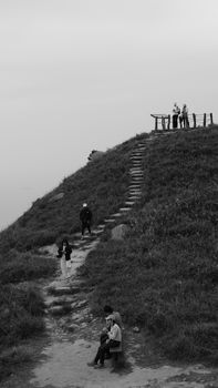 People walking up a grassy hillside with a stone path in monochrome.