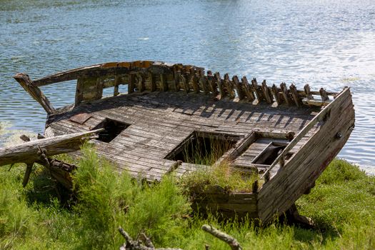 Rustic wooden shipwreck decaying beside a serene lake among greenery.