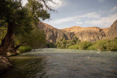 Free Beautiful river landscape with lush greenery and rocky hills in Tamerlik, Kazakhstan. Stock Photo