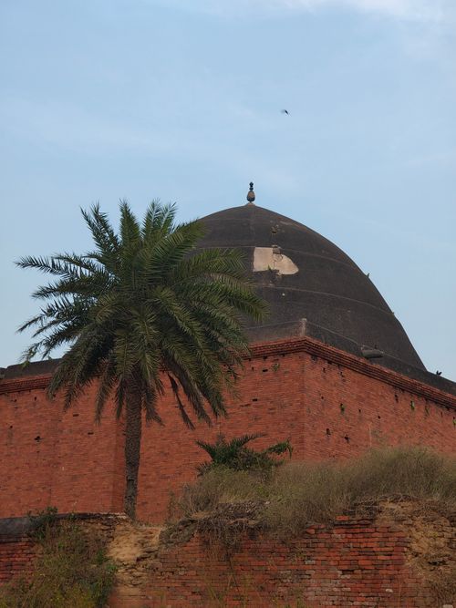 Free A historic dome with red brick wall and lush palm tree under a clear sky, exuding a timeless charm. Stock Photo