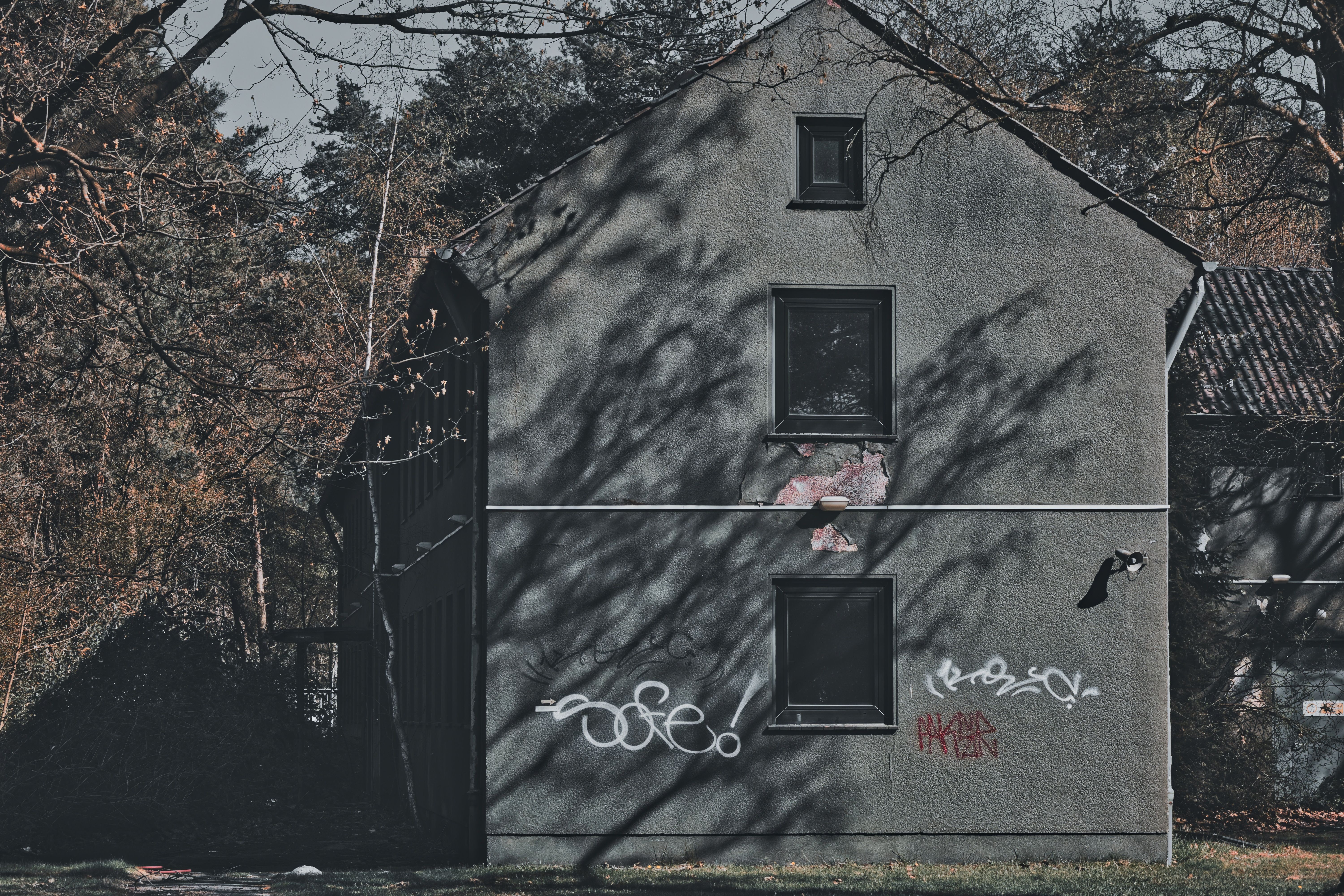 House Painting in Kidbrooke — walls rolled to an even, flat finish