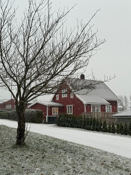 Free Charming red house covered in snow during a peaceful winter day. Stock Photo