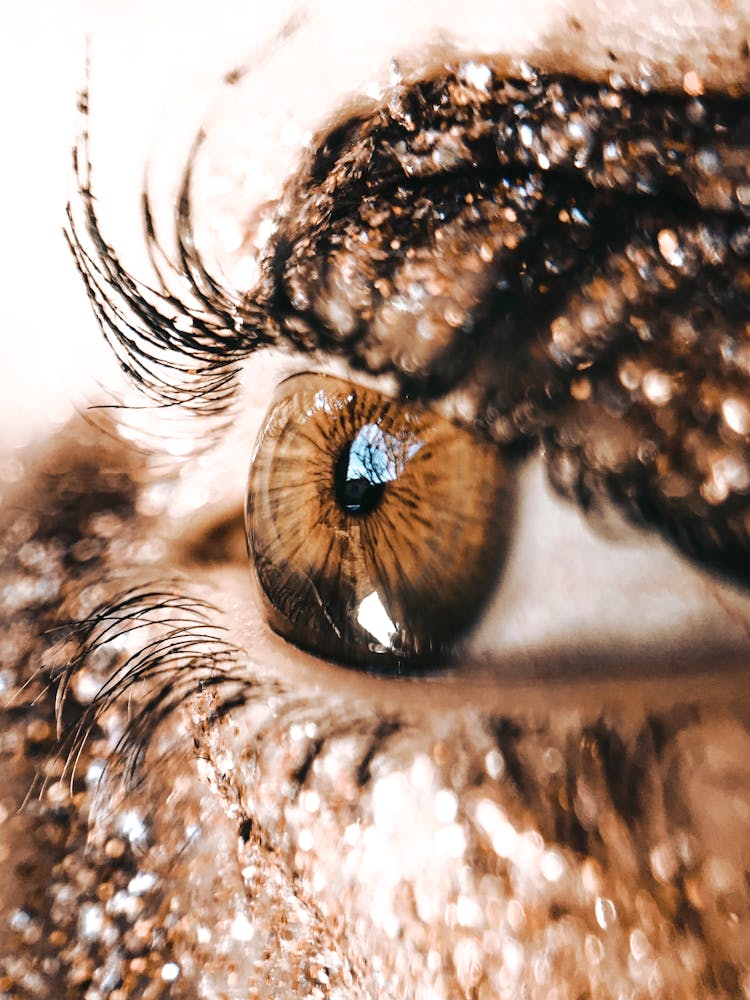 Closeup Eye Of Female In Makeup