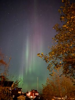 Aurora Borealis lighting up the night sky over a rustic Scandinavian village, framed by trees.