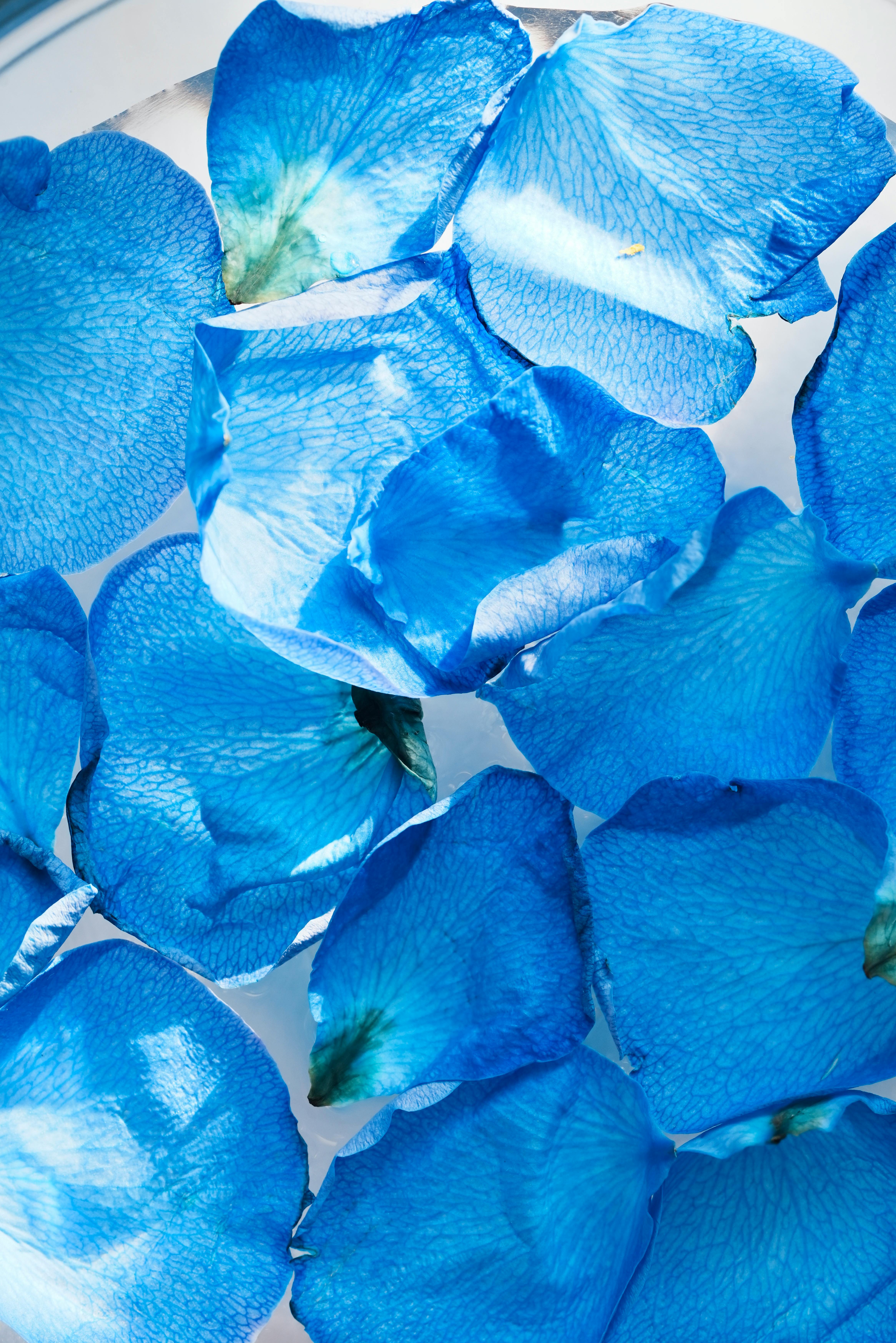 Aesthetic Next Login Photos Download The BEST Free Aesthetic Next