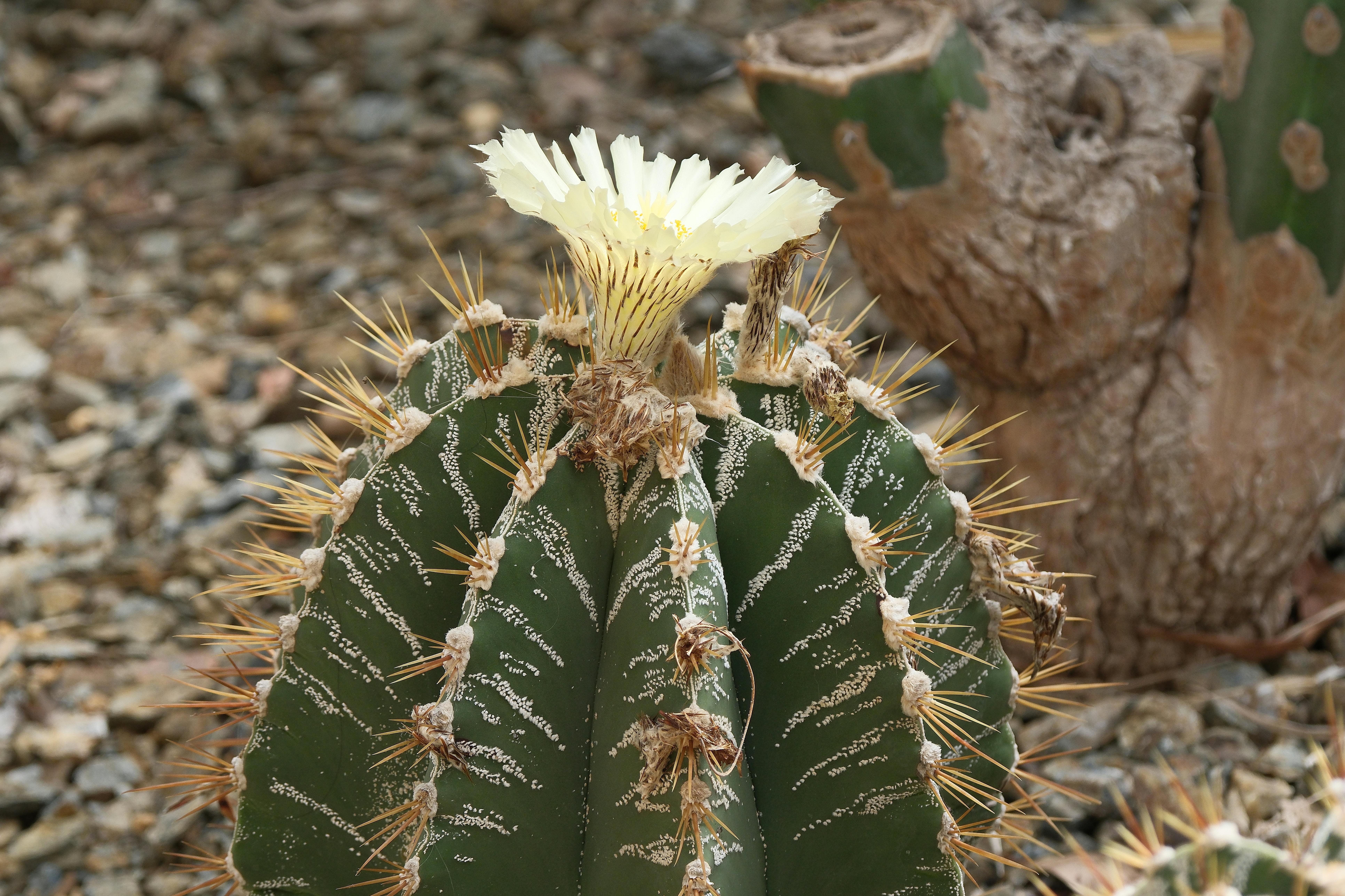 《家生活》關稅壓力減緩及訂單增加，慶豐富明年營運回穩成長
