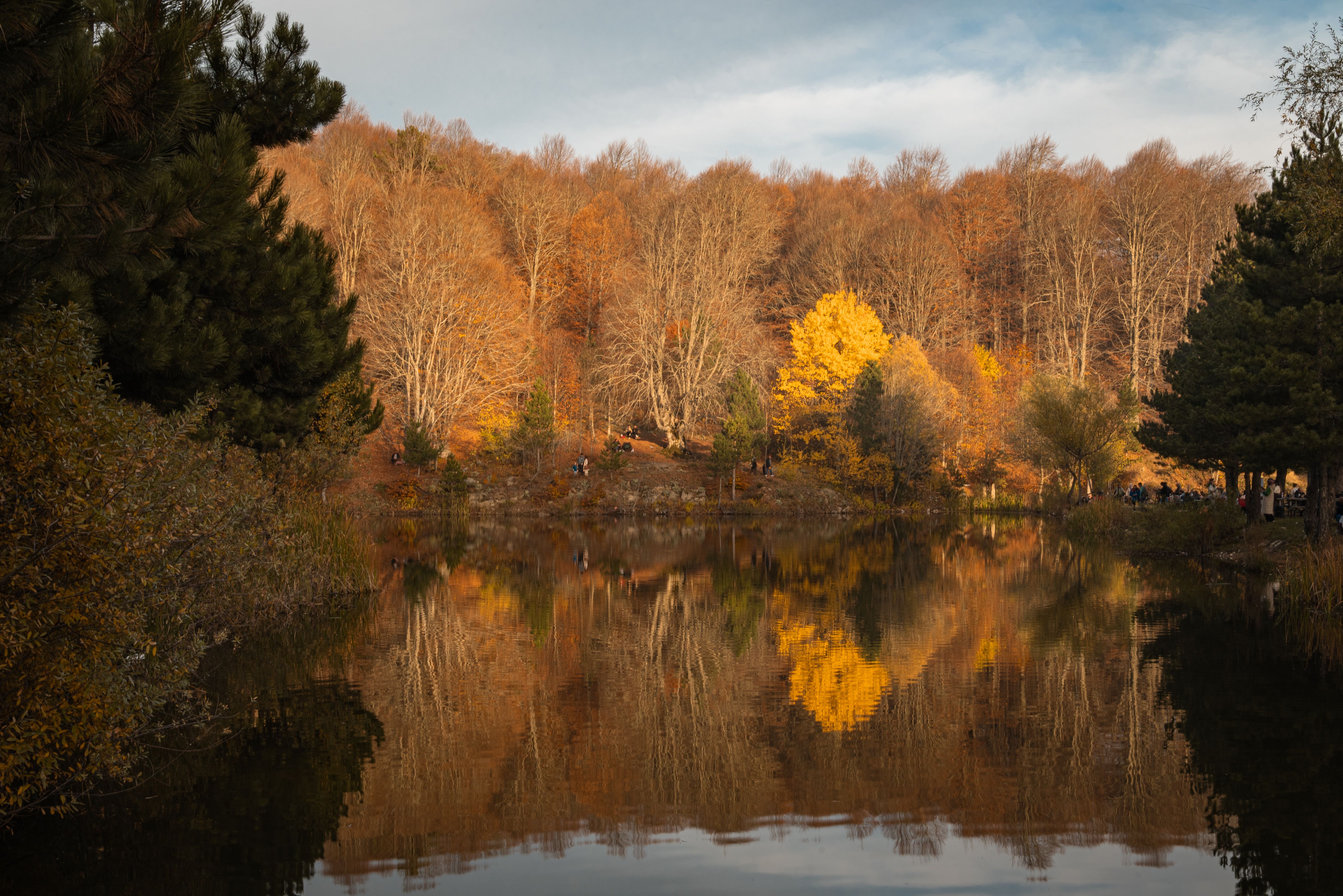 Serene Autumn Lake with Reflective Foliage · Free Stock Photo
